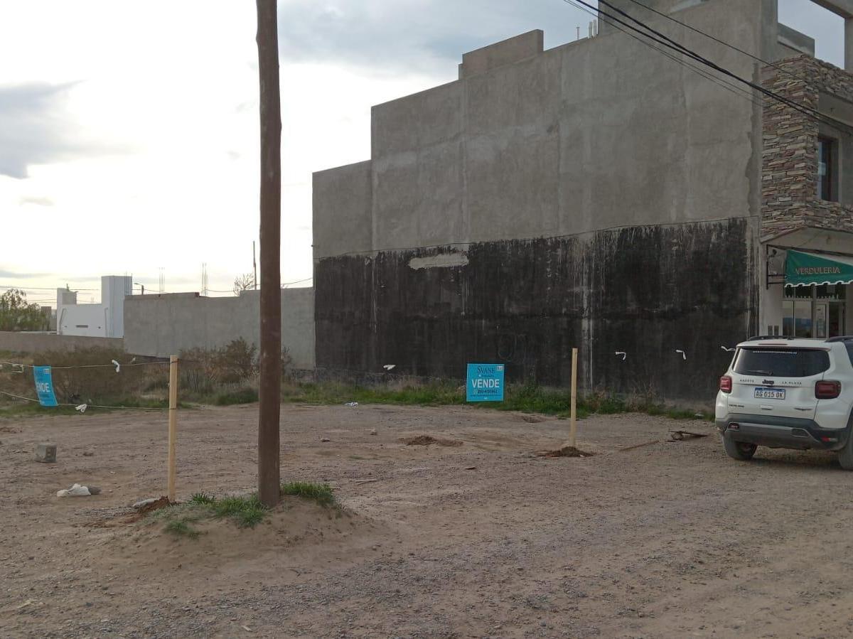 Lote en Venta Canelo E/ Grosellar y Caña Colihue Precio U$d40.000 1