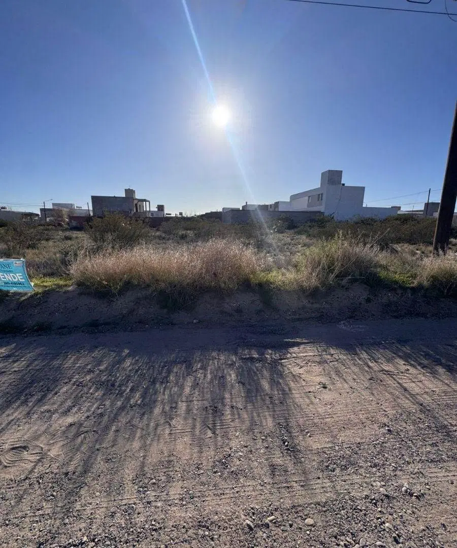 Lote en Venta
caÑa colihue e/ ABEDUL y CORINTO
Precio u$d42.500 4