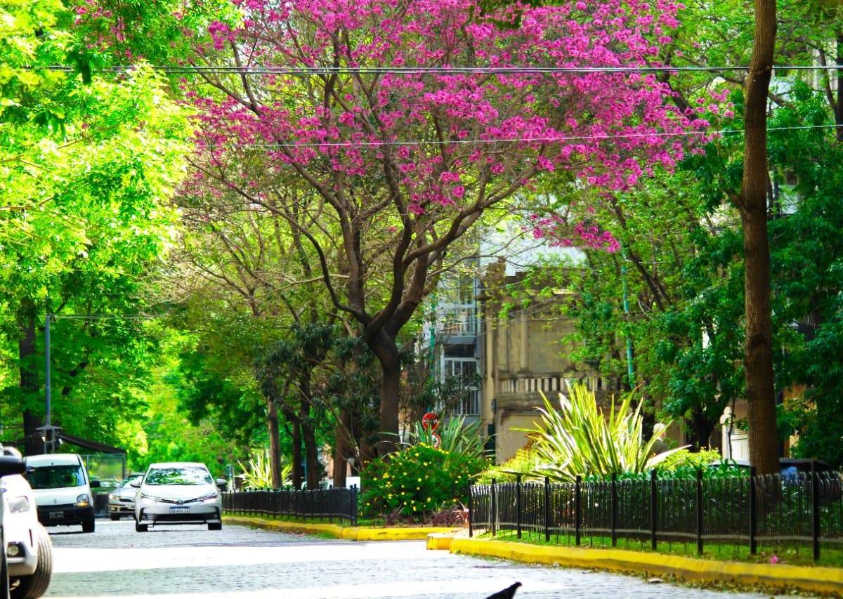 Andonaegui Al 2100 - 2 Ambientes con Balcón - V. Urquiza - Emprendimiento 5