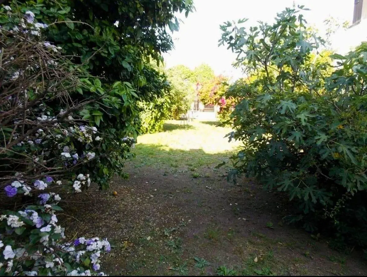 CHALET EN VENTA EN EN ADROGUE (IDEAL INVERSIONISTA) 8