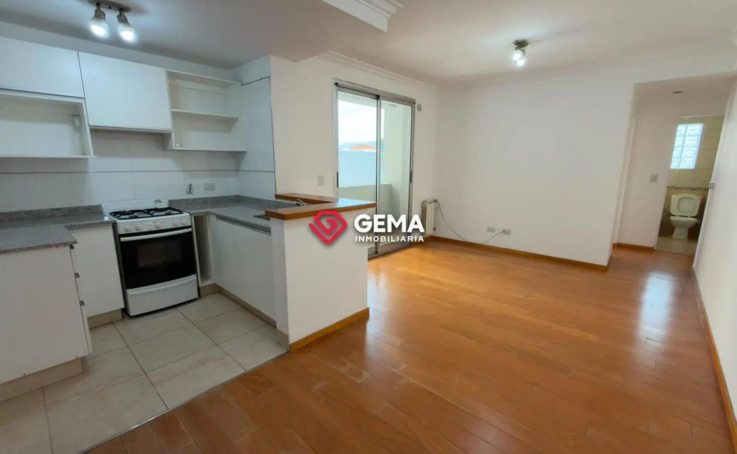 Departamento en Zona Centro 3