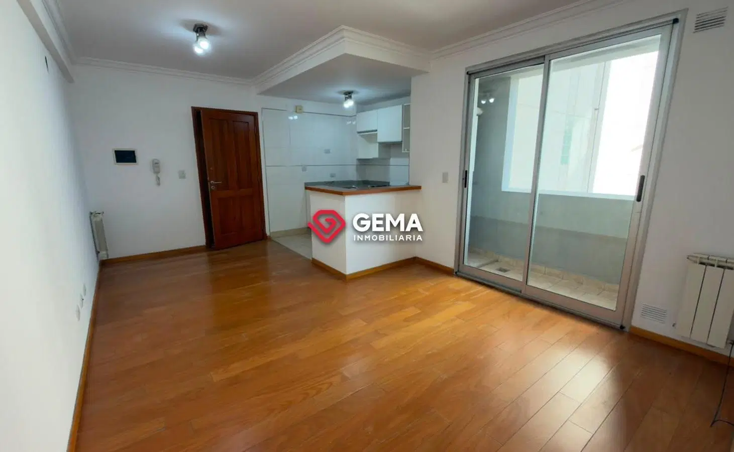 Departamento en Zona Centro 2