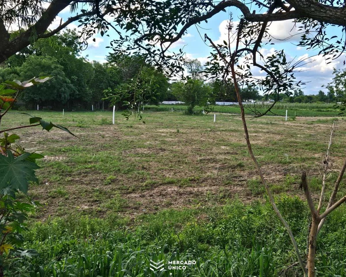 Terrenos en Venta Callejón Montenegro, a 2.5 Km. de Ruta 1. 1