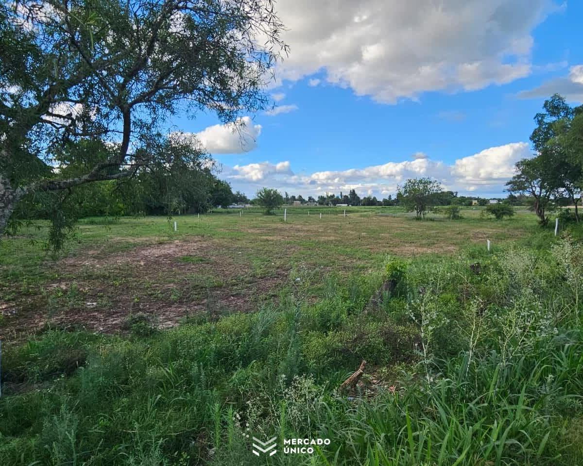 Terrenos en Venta Callejón Montenegro, a 2.5 Km. de Ruta 1. 5
