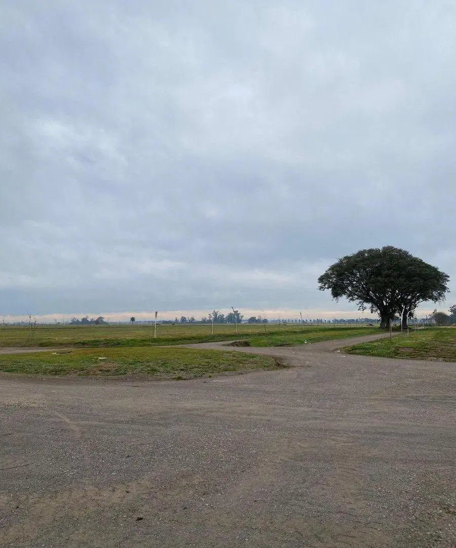 VENTA LOTE LA GUILLERMINA FUNES 4