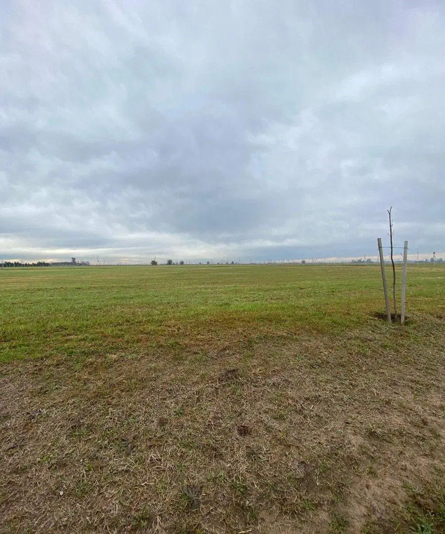 VENTA LOTE LA GUILLERMINA FUNES 3