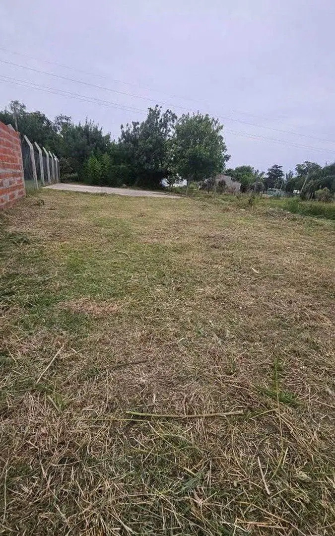 VENTA LOTE DE TERRENO ANDINO ESCRITURADO 300m2 2