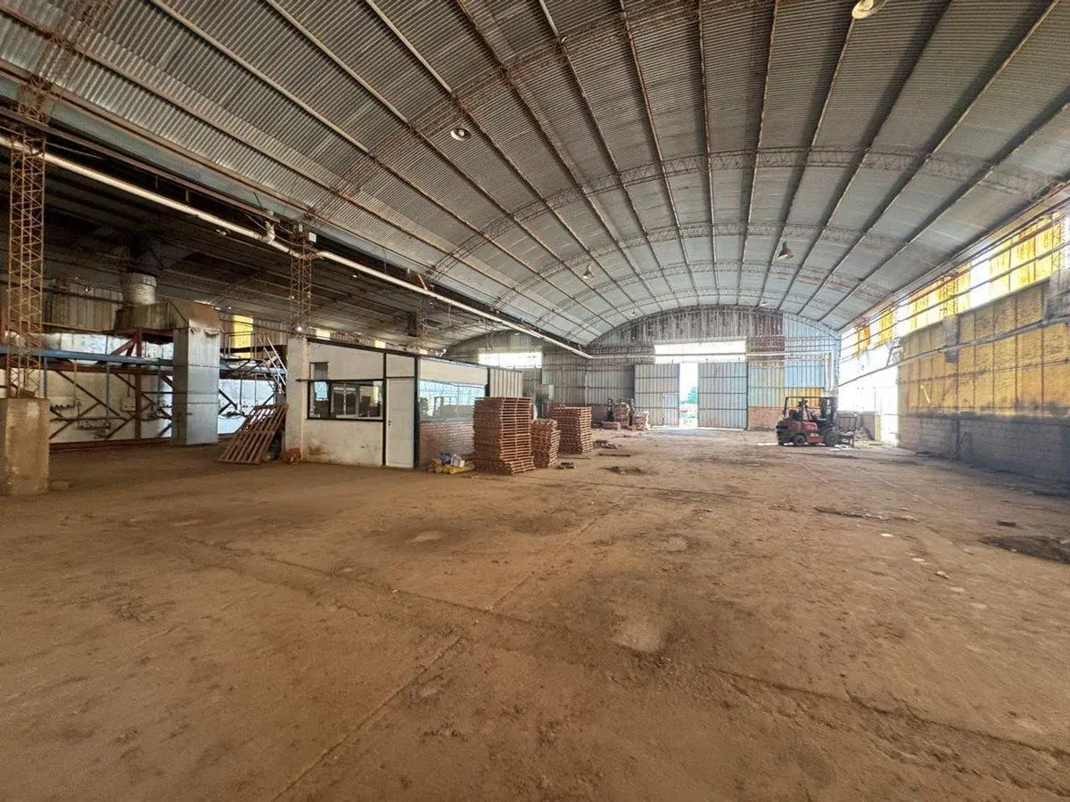VENTA LOTE 5 HA GALPONES 2.500 MTS ARROYO SECO 8