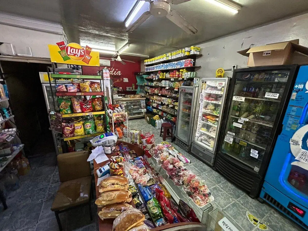 VENTA DOS CASAS Y LOCAL AL FRENTE  EN PELLEGRINI 5