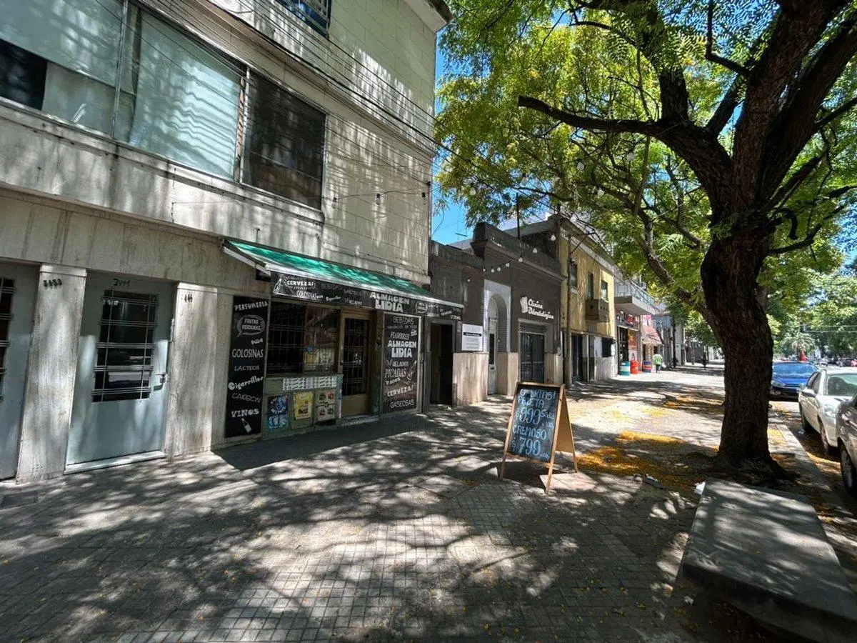 VENTA DOS CASAS Y LOCAL AL FRENTE  EN PELLEGRINI 4