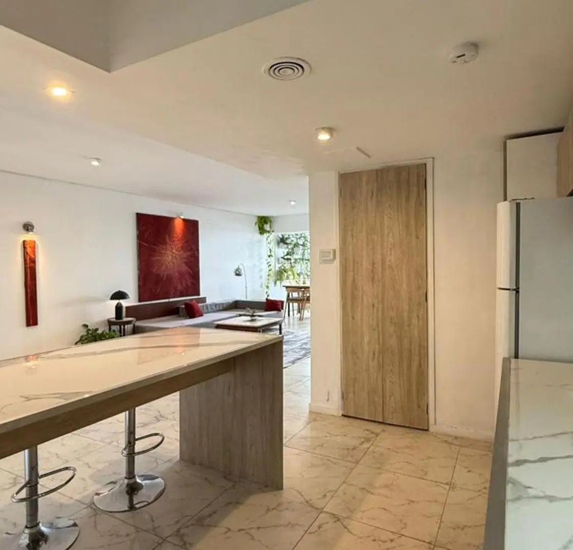 VENTA DEPARTAMENTO 3 DORMITORIOS VISTA RIO COCHERA 5