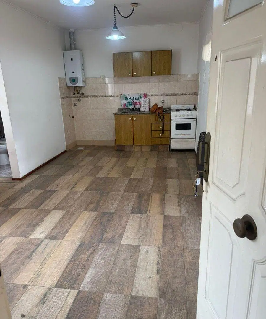 VENTA DE DEPARTAMENTO 1 DORMITORIO. PASILLO. 8