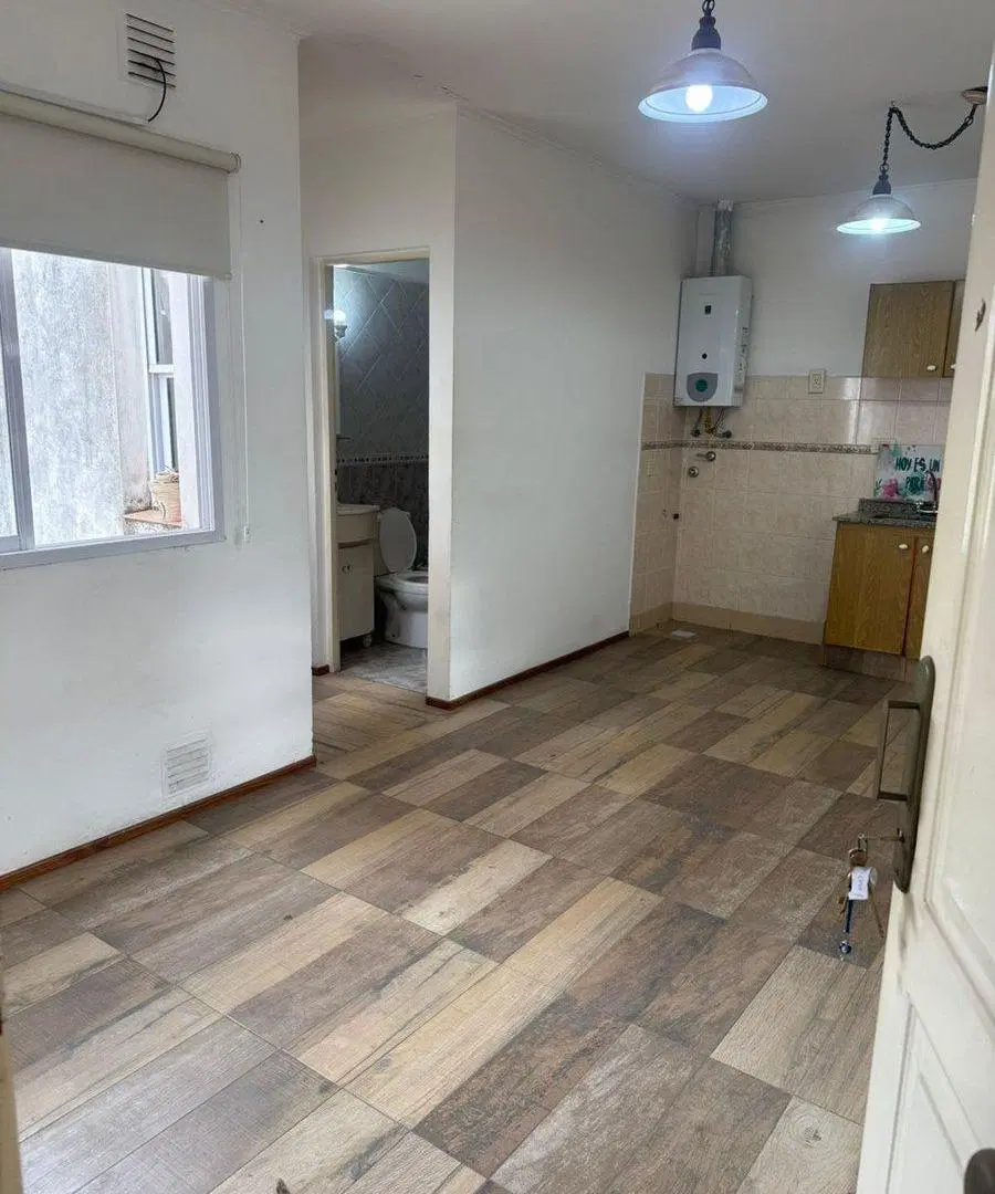 VENTA DE DEPARTAMENTO 1 DORMITORIO. PASILLO. 4