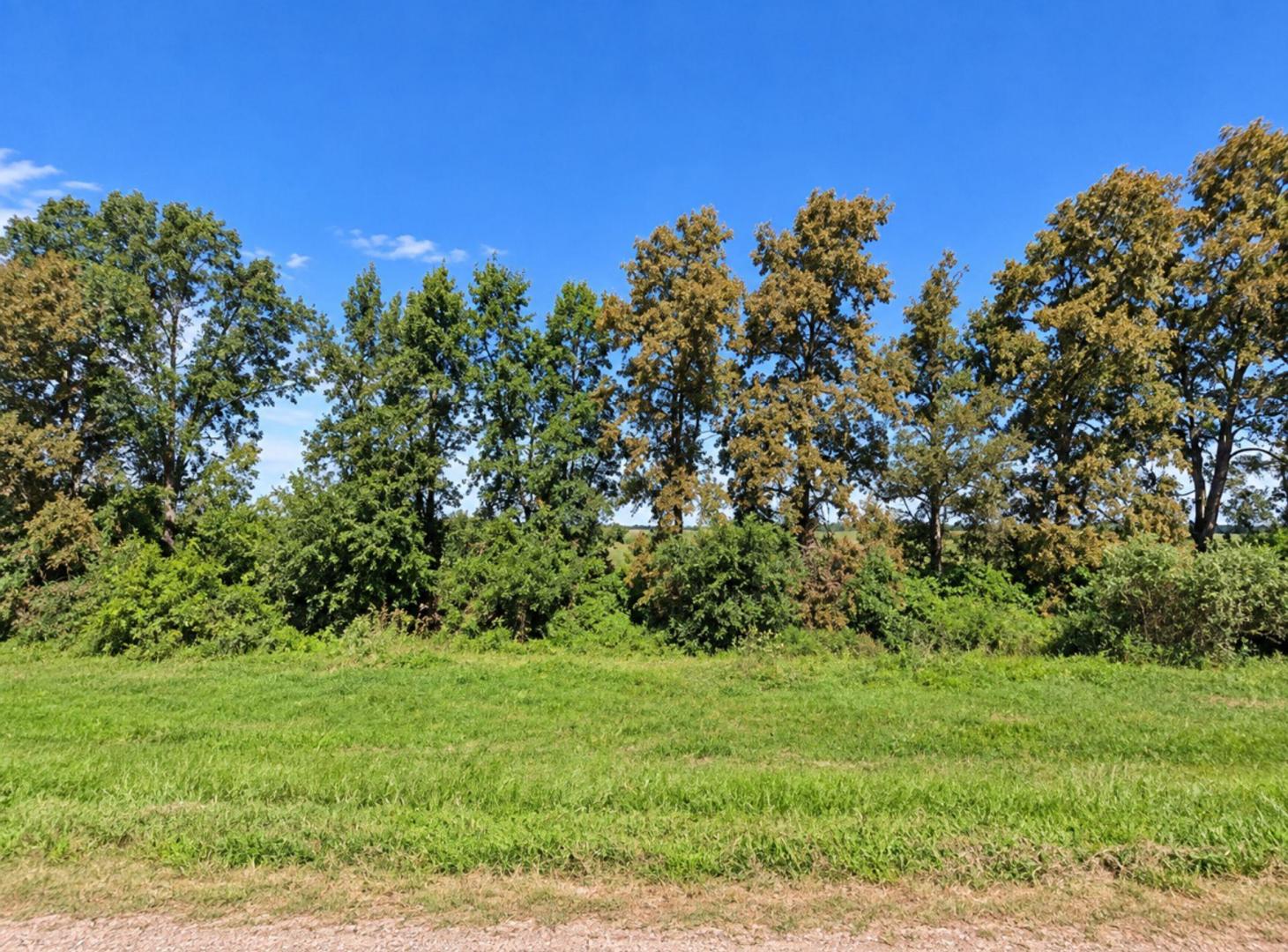 Foto de CAMPO AGRÍCOLA EN VENTA EN GABOTO, imagen 5