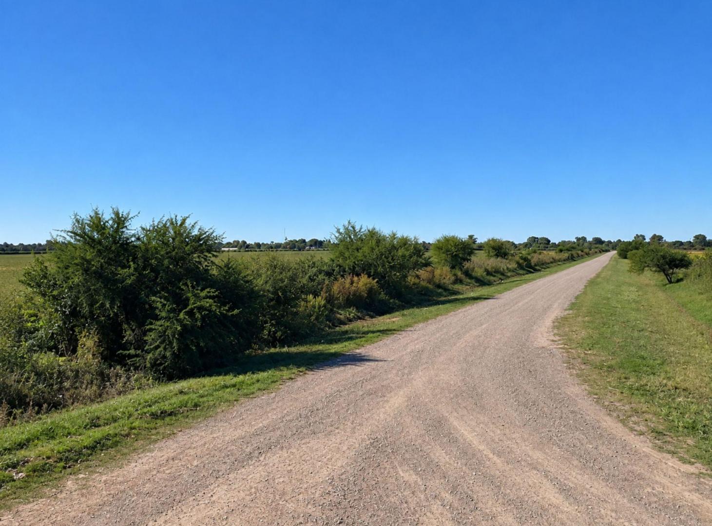 Foto de CAMPO AGRÍCOLA EN VENTA EN GABOTO, imagen 1