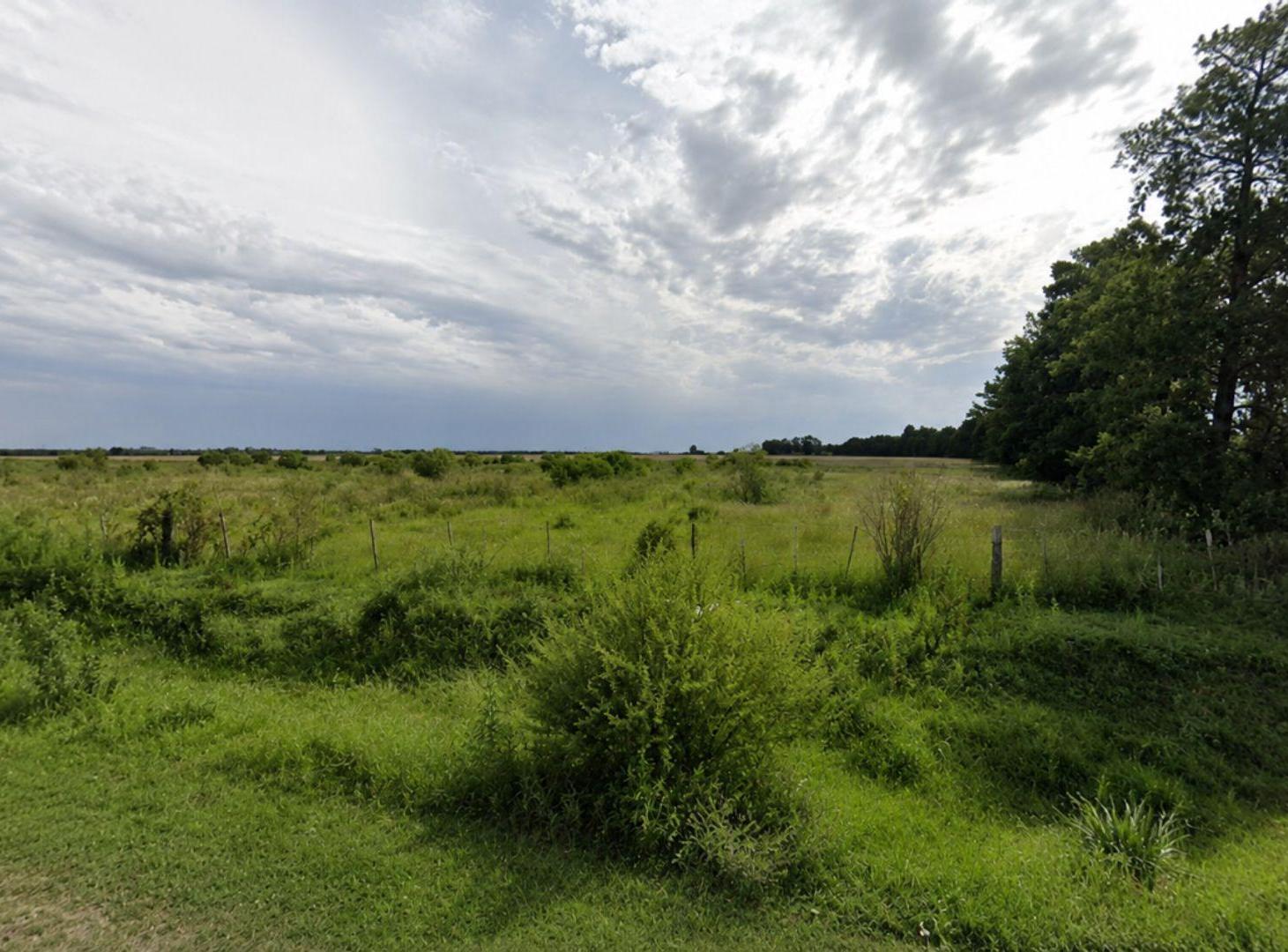 Foto de CAMPO AGRÍCOLA EN VENTA EN GABOTO, imagen 3