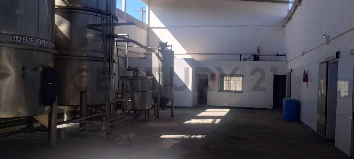 Foto de Venta de Planta Industrial Fábrica en Florencio Varela, imagen 4