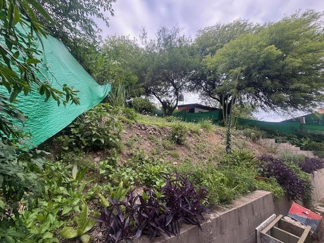 Foto de Pintoresca Casa, imagen 4
