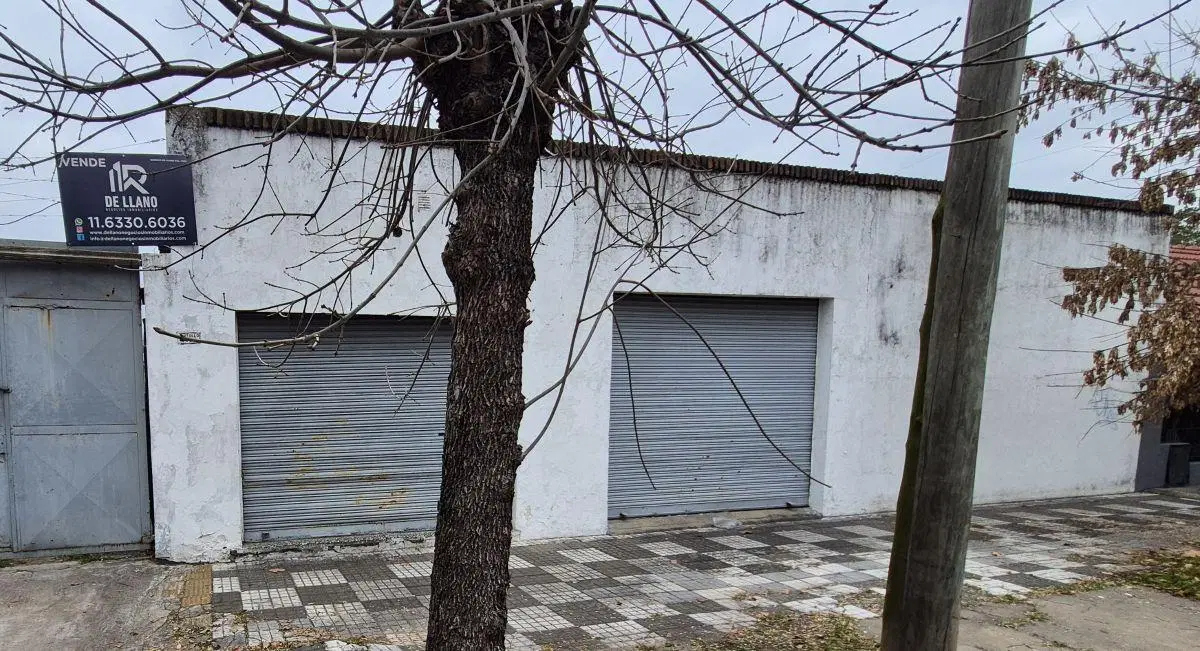 VENTA DE 2 LOCALES, 2 DEPOSITOS, COCHERAS Y UN DPTO TIPO CASA AL FONDO. SOBRE 2 LOTES DE 8.66X26.22. 5