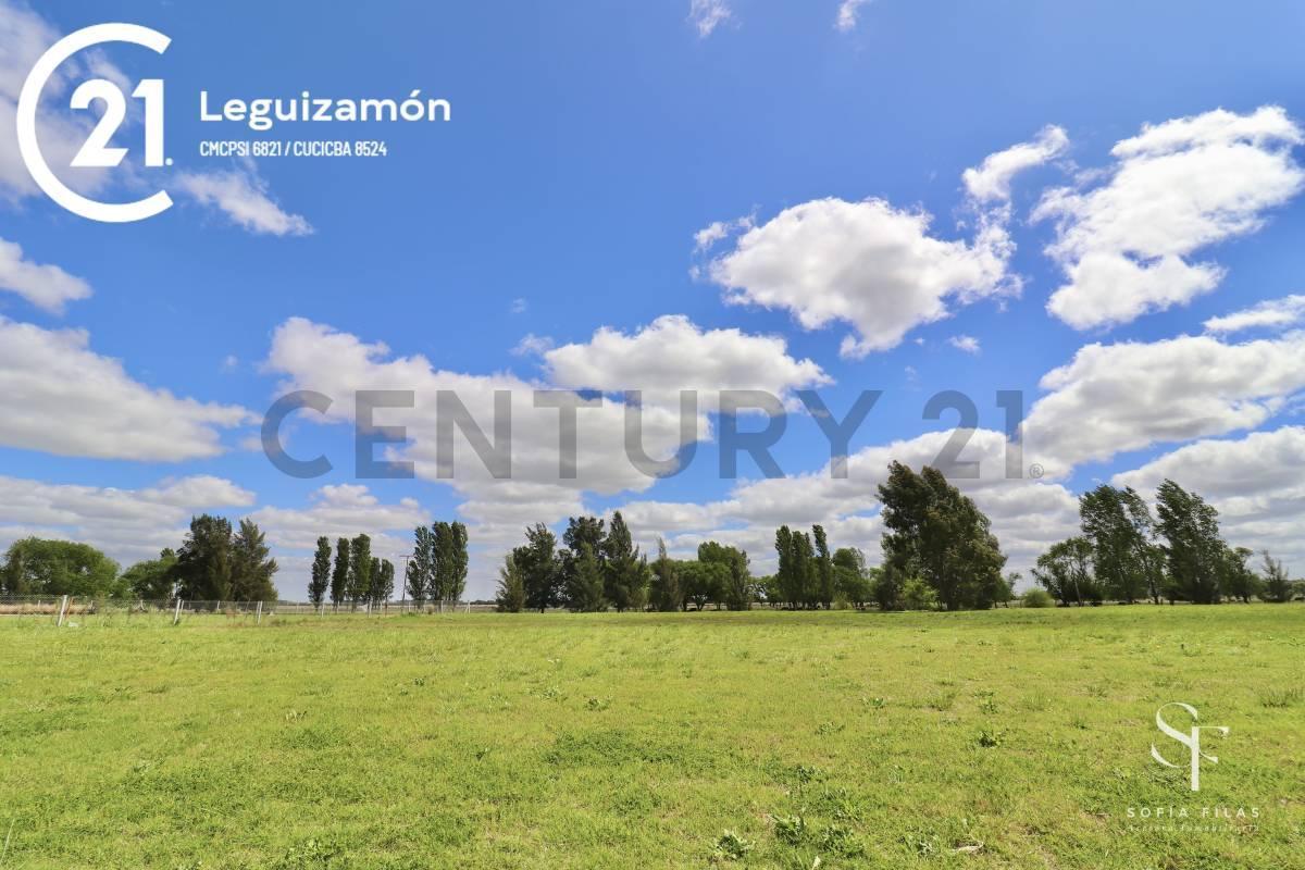 Venta de Lote en Area 60 1537 m 2