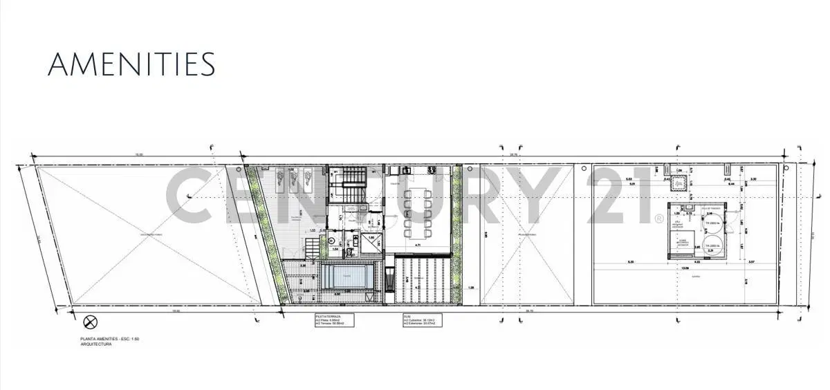 Plano 6