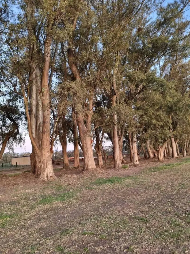 Exclusivo lote de 3400mtrs en Chacras de San Andrés, Viví el campo con el confort y la seguridad que 5