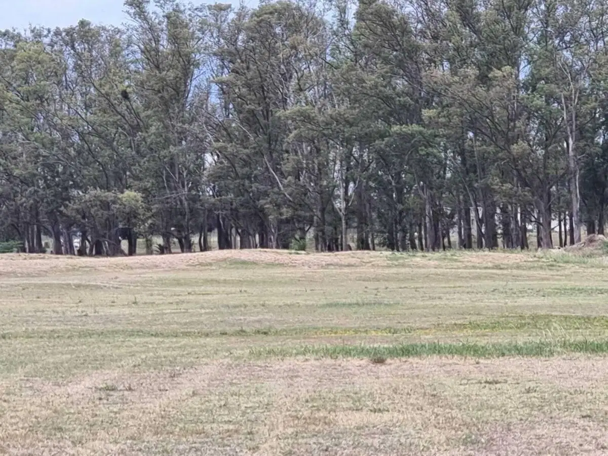 Exclusivo lote de 3400mtrs en Chacras de San Andrés, Viví el campo con el confort y la seguridad que 4