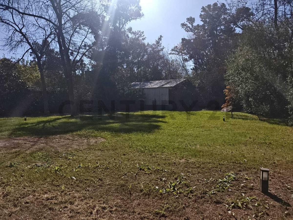 Foto de VENTA EXCEPCIONAL CASA QUINTA MASCHWITZ, imagen 5