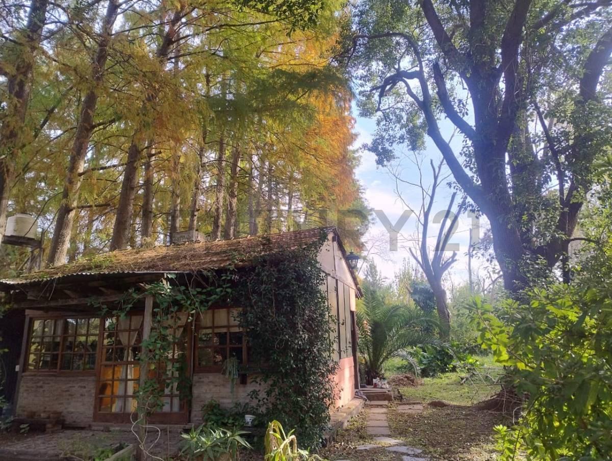 Foto de CASA EN ISLA EN VENTA – DELTA TIGRE, imagen 1