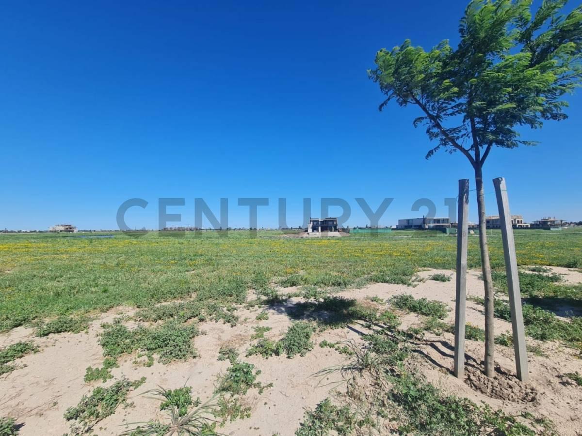 Foto de Lote al Agua Barrio Puentes, Nordelta., imagen 5