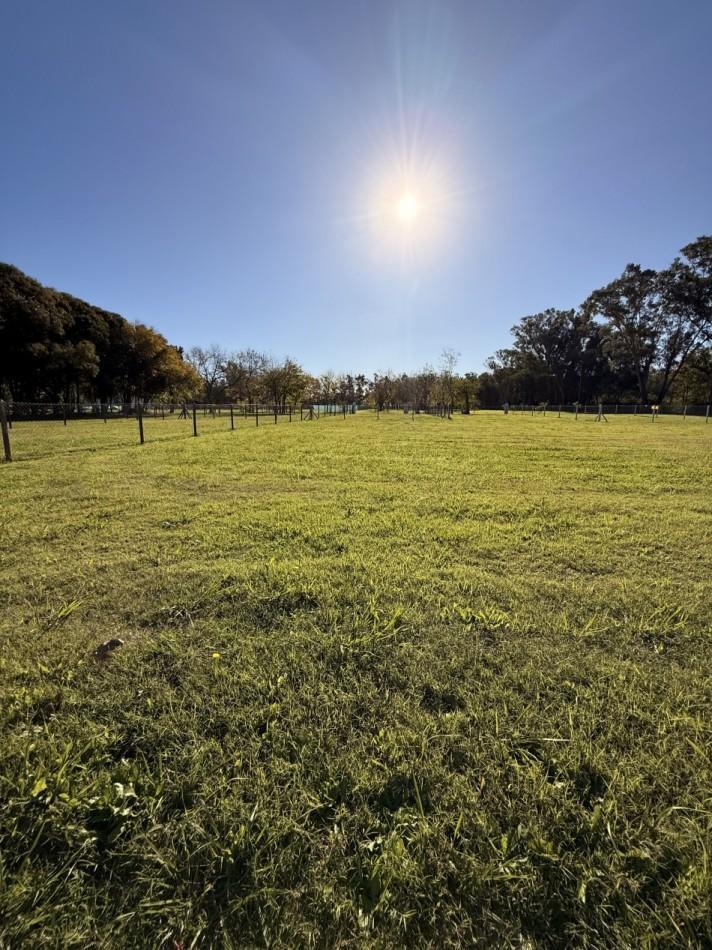 LOTE EN VENTA EN LOS CEDROS - EL PATO, BERAZATEGUI
