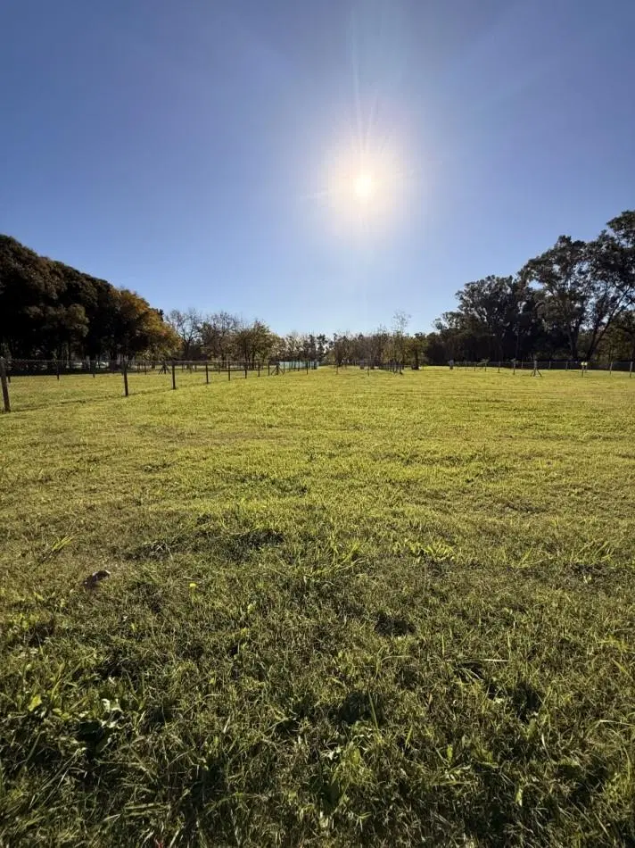 LOTE EN VENTA EN LOS CEDROS - EL PATO, BERAZATEGUI 2