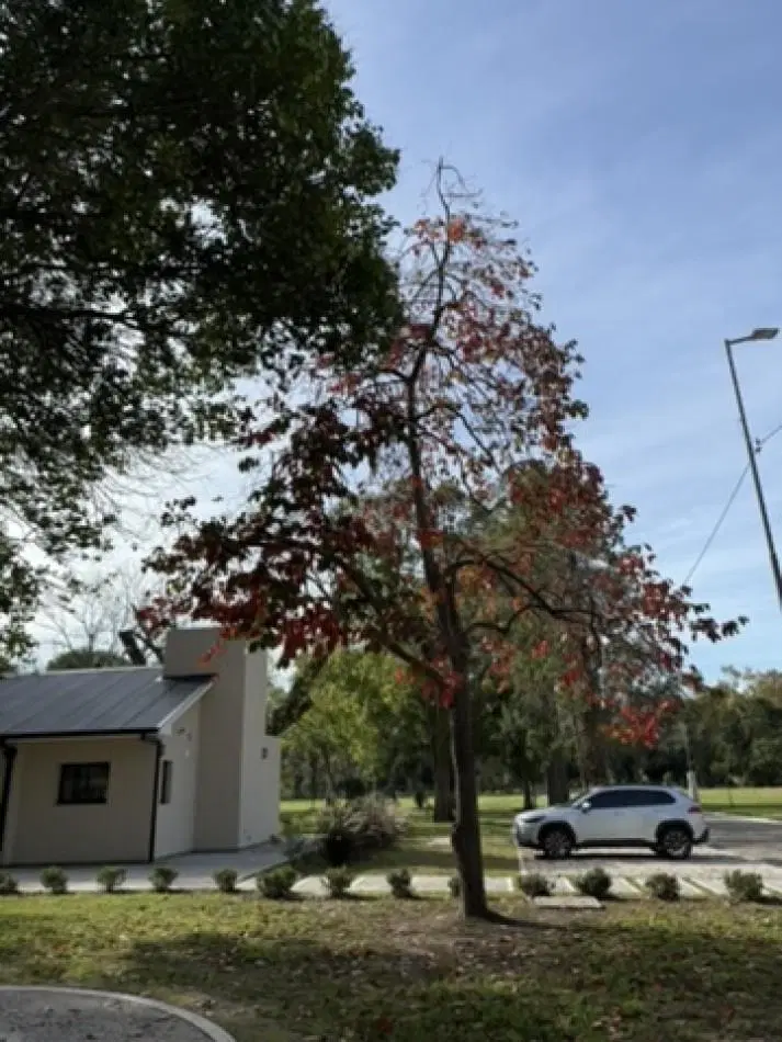 LOTE EN VENTA EN LOS CEDROS - EL PATO, BERAZATEGUI 4
