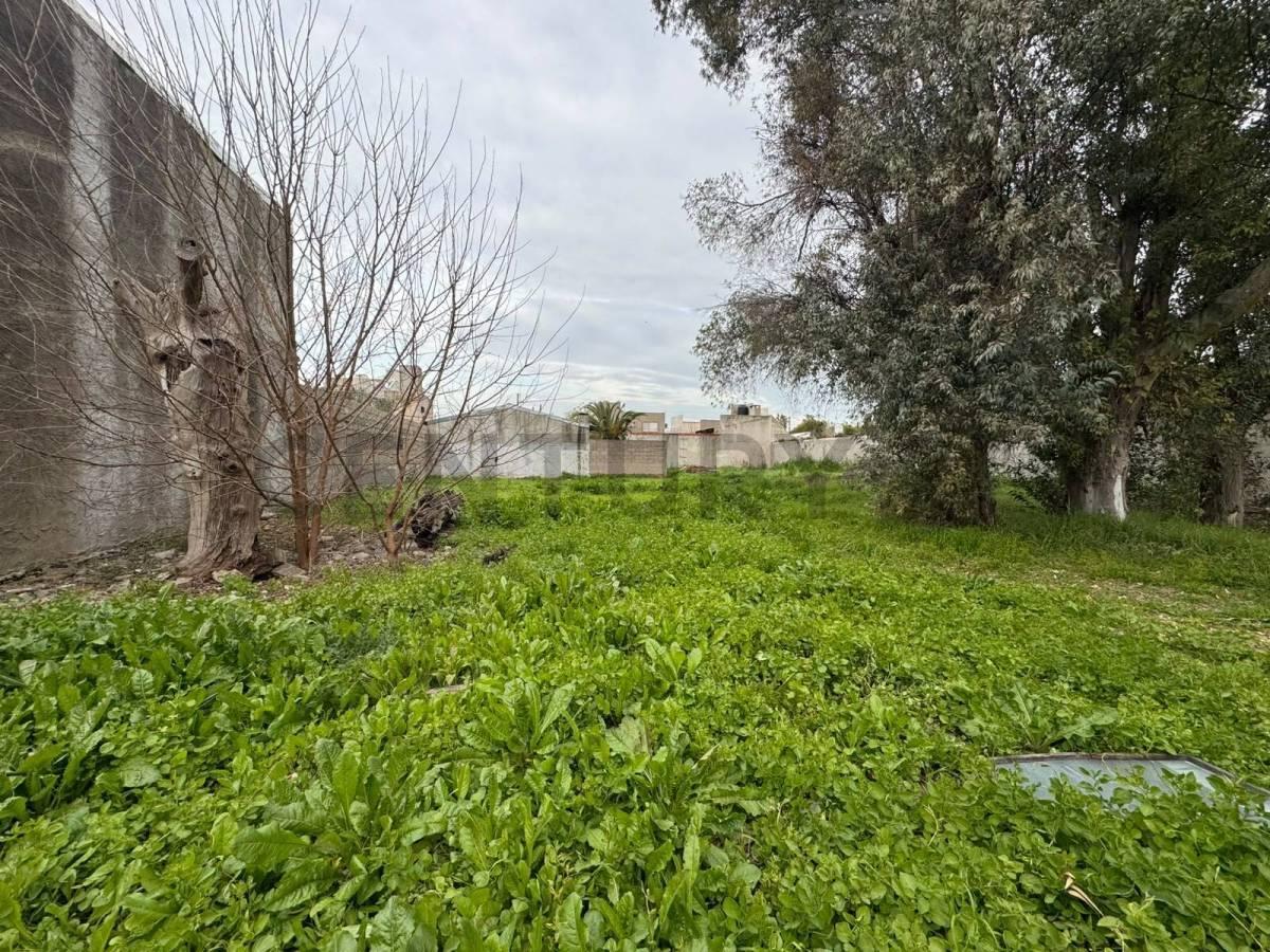Foto de Lote en venta Ituzaingo, imagen 1