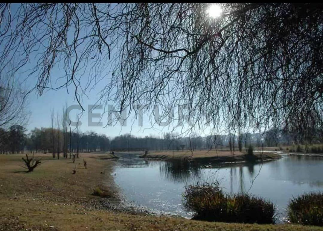 Foto de Lote en venta, imagen 3