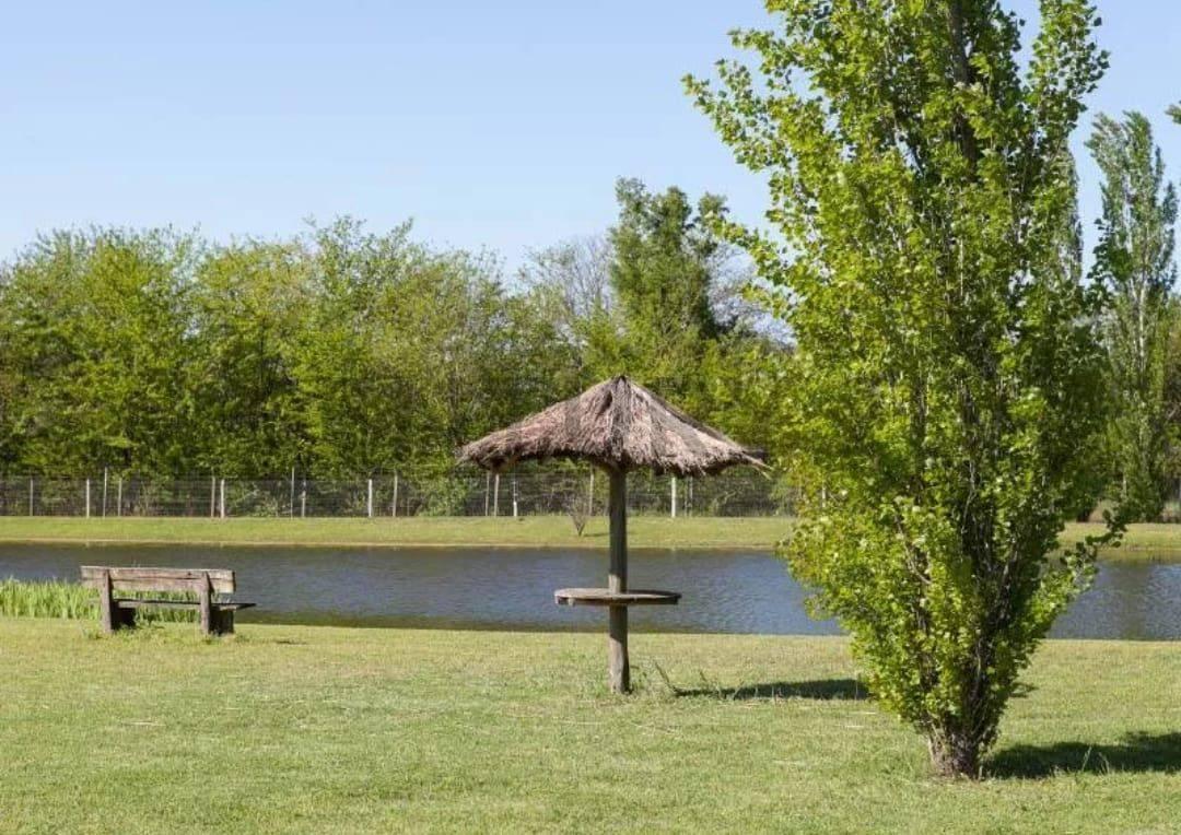 Foto de Lote en venta, imagen 4