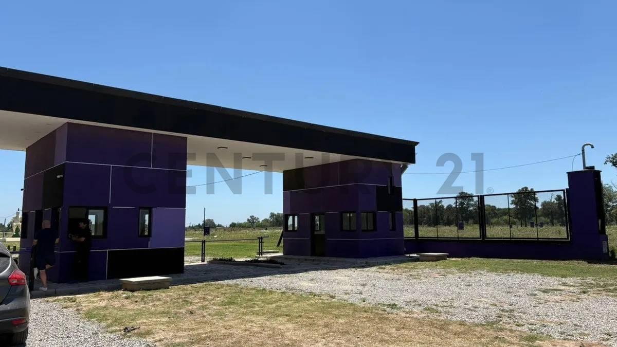 Foto de Lote Barrio Cerrado Dionisio, a la laguna Merlo, imagen 5