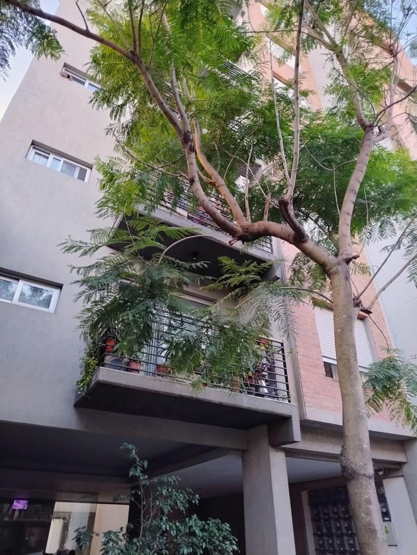 Foto de Venta Monoambiente - IMPECABLE- APTO CREDITO- Morón - MUY LUMINOSO, imagen 1