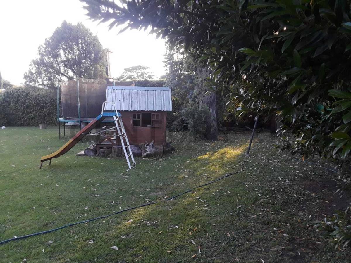Foto de VENTA DE LOTE EN CENTRO DE ITUZAINGO, IDEAL EMPRENDIMIENTO E, imagen 3