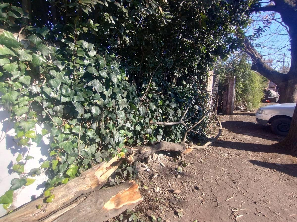 Foto de VENTA LOTE ZONIFICACIÓN SEMI INDUSTRIAL ITUZAINGÓ NORTE, imagen 3