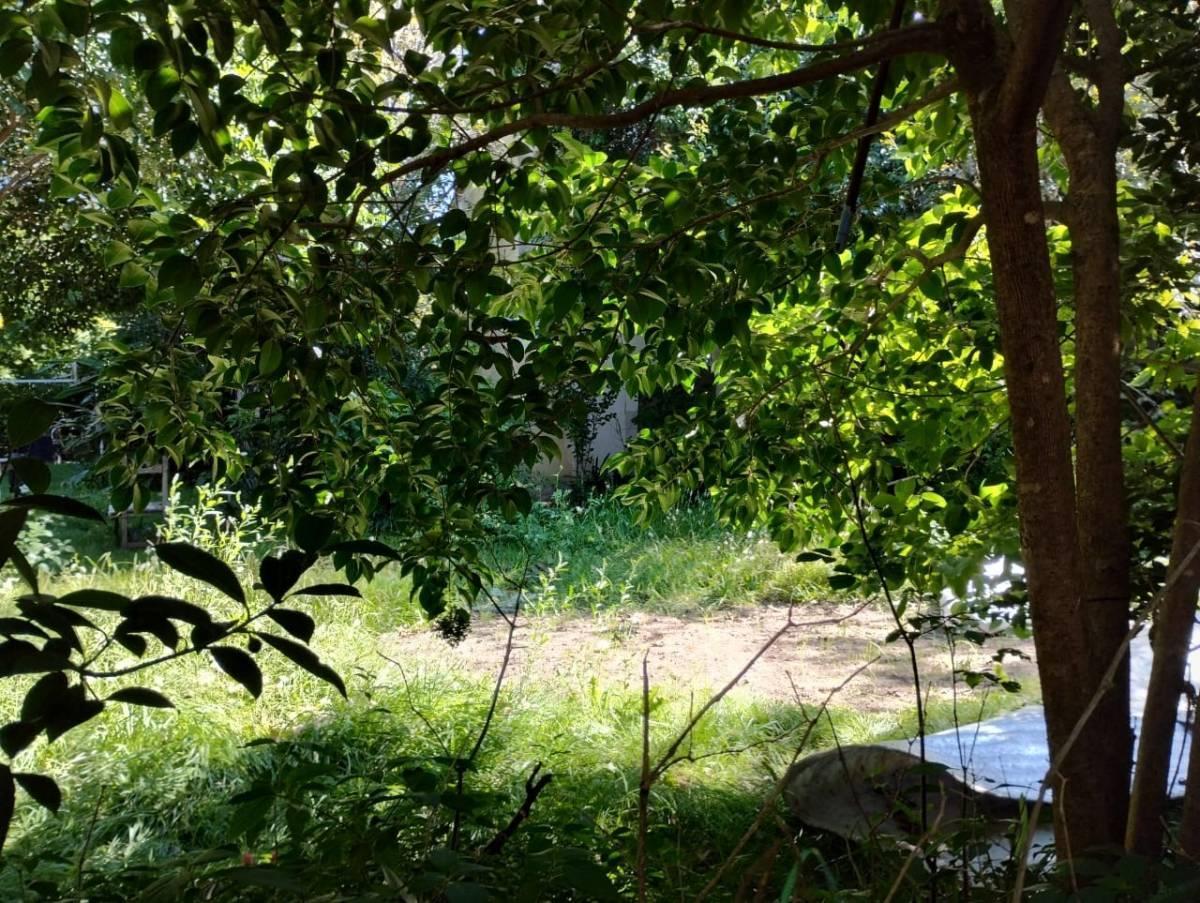 Foto de VENTA LOTE ITUZAINGO NORTE 3000 m2- Ideal emprendimiento, imagen 5