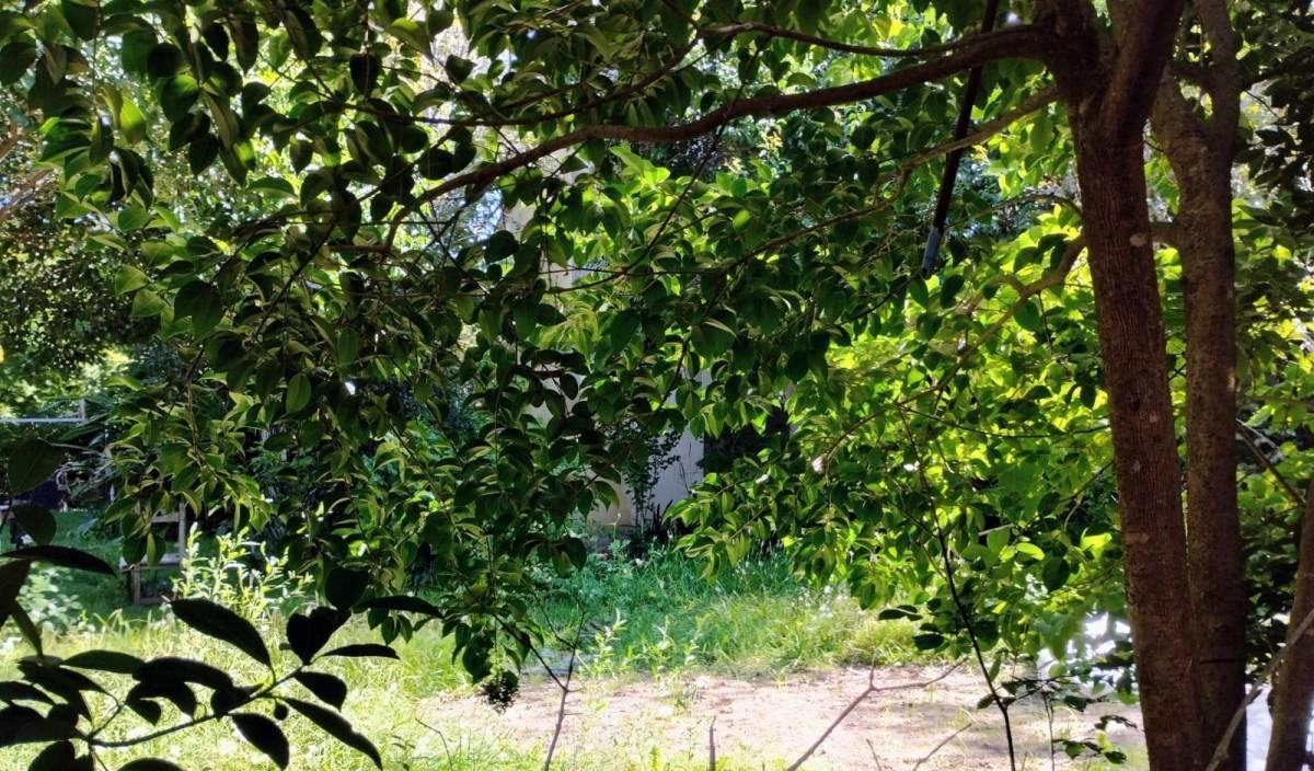 Foto de VENTA LOTE ITUZAINGO NORTE 3000 m2- Ideal emprendimiento, imagen 4