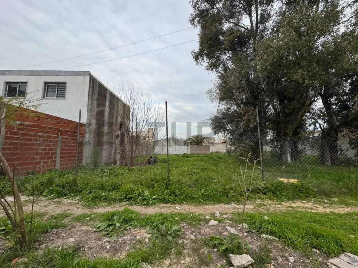Foto de Lote terreno en venta Ituzaingó, imagen 3
