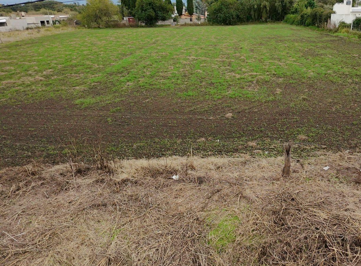 Foto de VENTA PARCELA DE 6.000 M² EN JUNÍN | RINCÓN DEL CIELO | ZONA GOLF, imagen 5