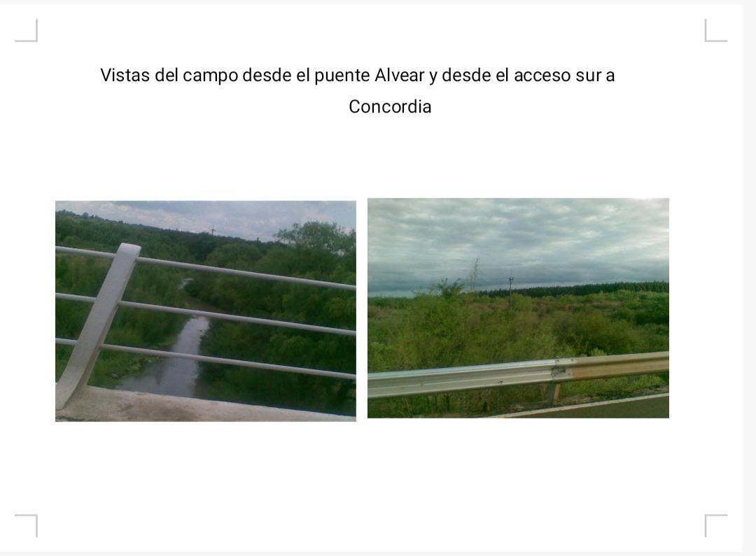Campo Venta 133 Ha Concordia Entre Rios Villa Adela 2