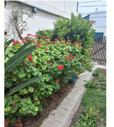 Casa Venta Necochea 4 Amb Cochera Jardín 174 m² Cub 67/38 5