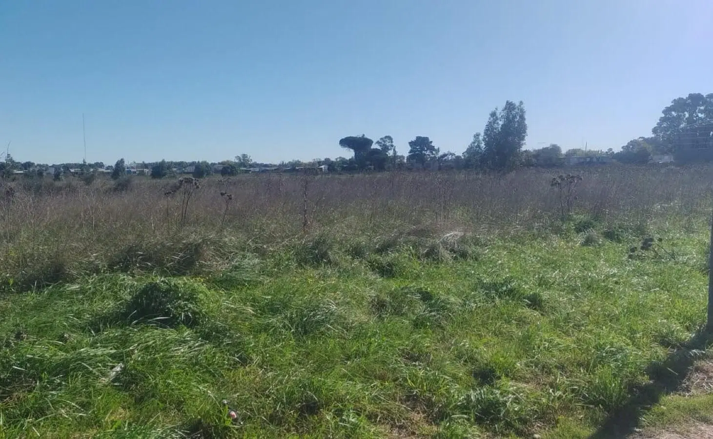 Terreno venta Necochea av 98 entre 71 y 69 672 mts escriturado luz gas sobre avenida comercial 3