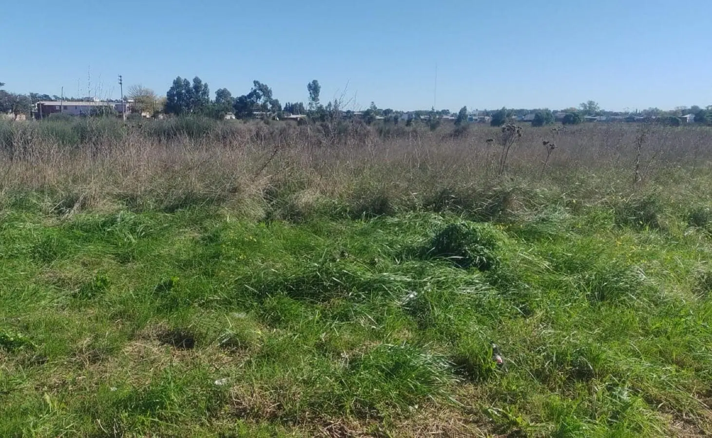 Terreno venta Necochea av 98 entre 71 y 69 672 mts escriturado luz gas sobre avenida comercial 5