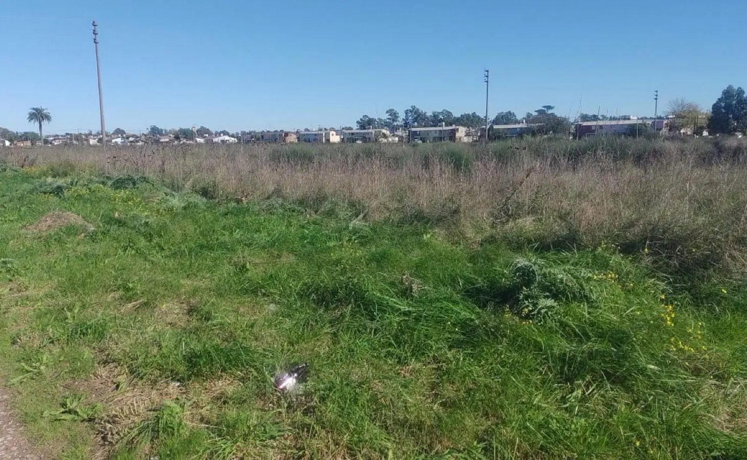Terreno venta Necochea av 98 entre 71 y 69 672 mts escriturado luz gas sobre avenida comercial 4