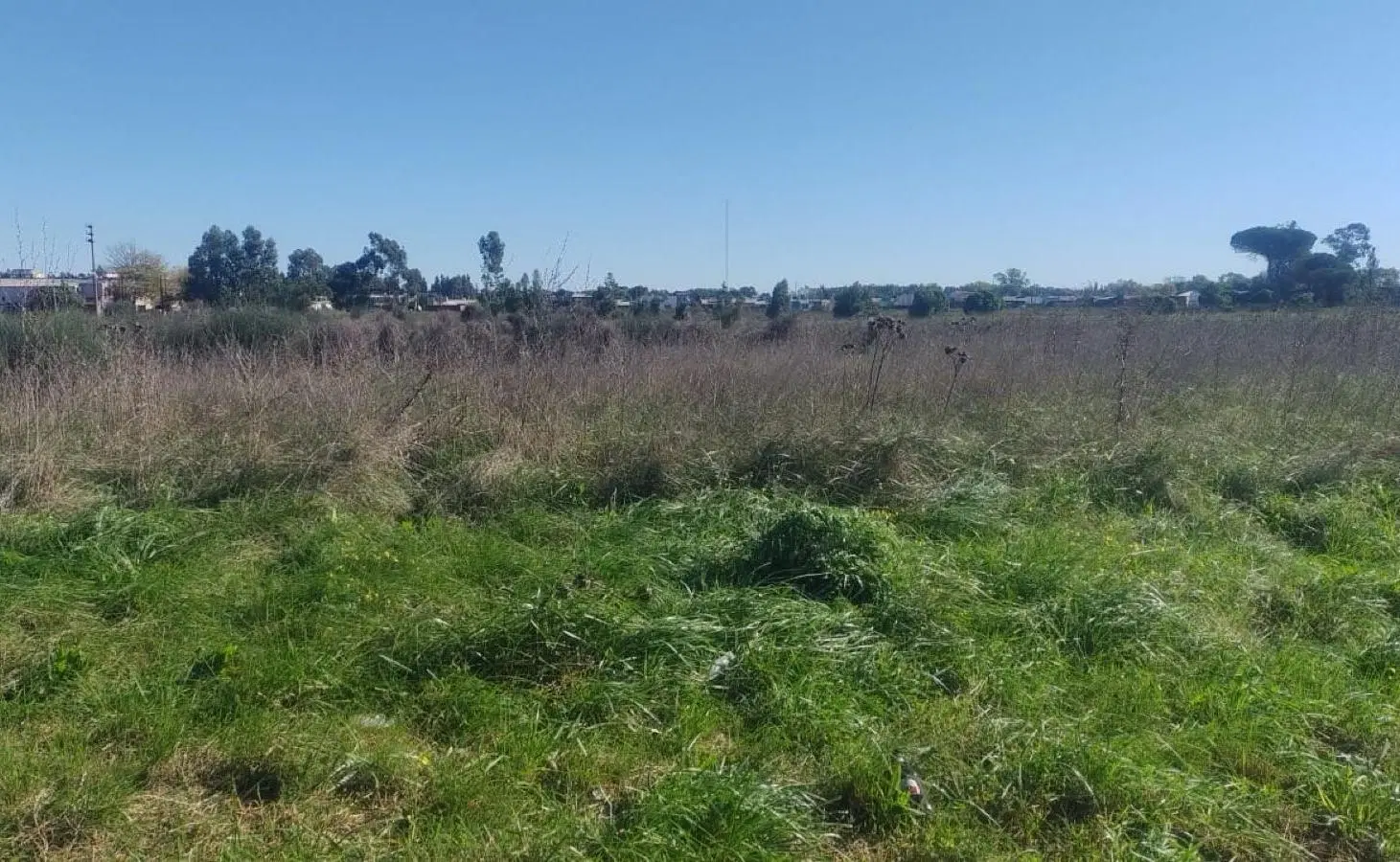 Terreno venta Necochea av 98 entre 71 y 69 672 mts escriturado luz gas sobre avenida comercial 5
